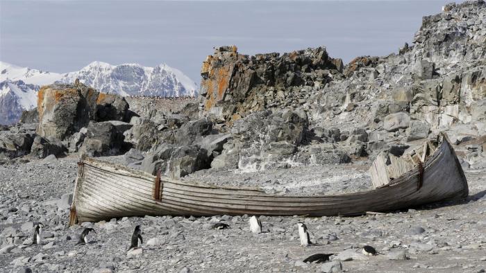 Wrack eines Walfangbootes